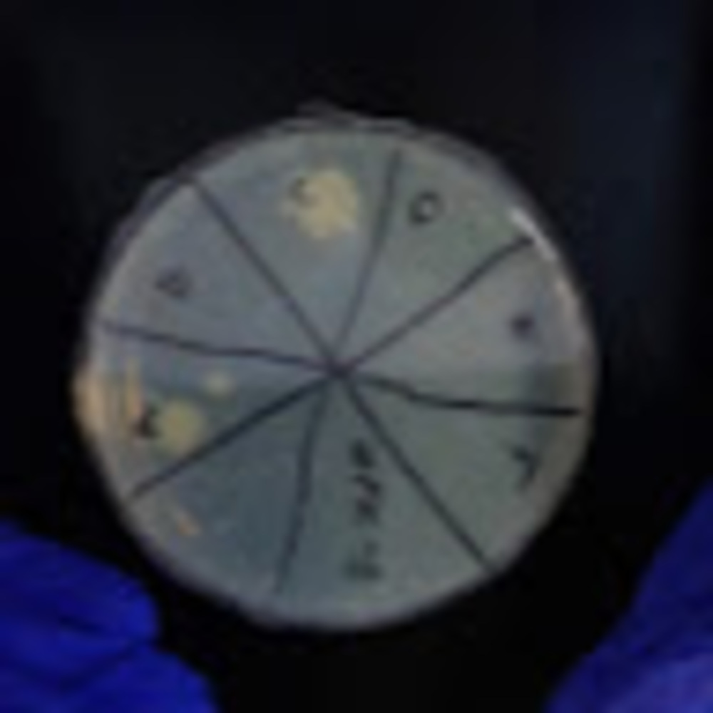 Meet your Posher, Rachel